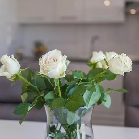 Luxury Three Bedrooms Silver Near Appartement